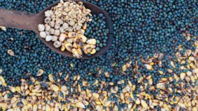 Konya’nın Hadim ilçesinde, Türk mutfağının binlerce yıllık lezzetlerinden biri olan