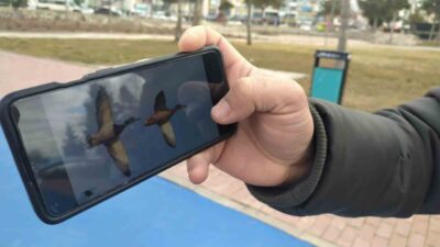 Türkiye’nin önemli kuş cennetleri arasında yer alan Konya ve Isparta