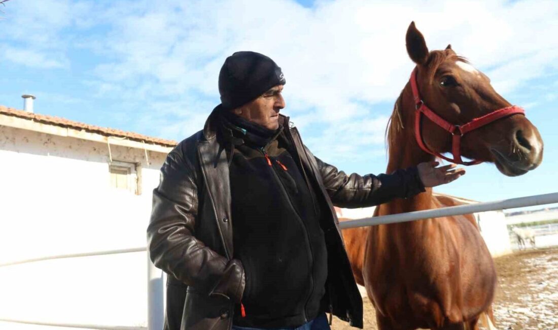 Eskişehir’de İngiliz ve Arap atının yetiştiriciliğini yapan Yenel Kaya, kış