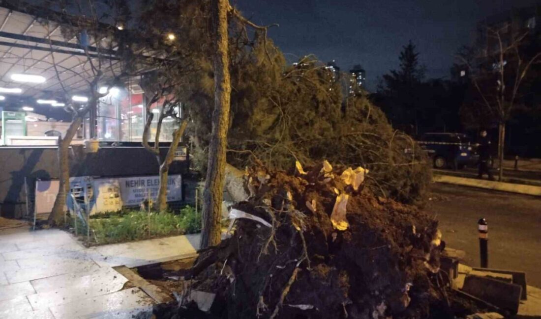 İstanbul Ataşehir’de etkili olan fırtına nedeniyle ağaç devrildi. Yenişehir Mahallesi