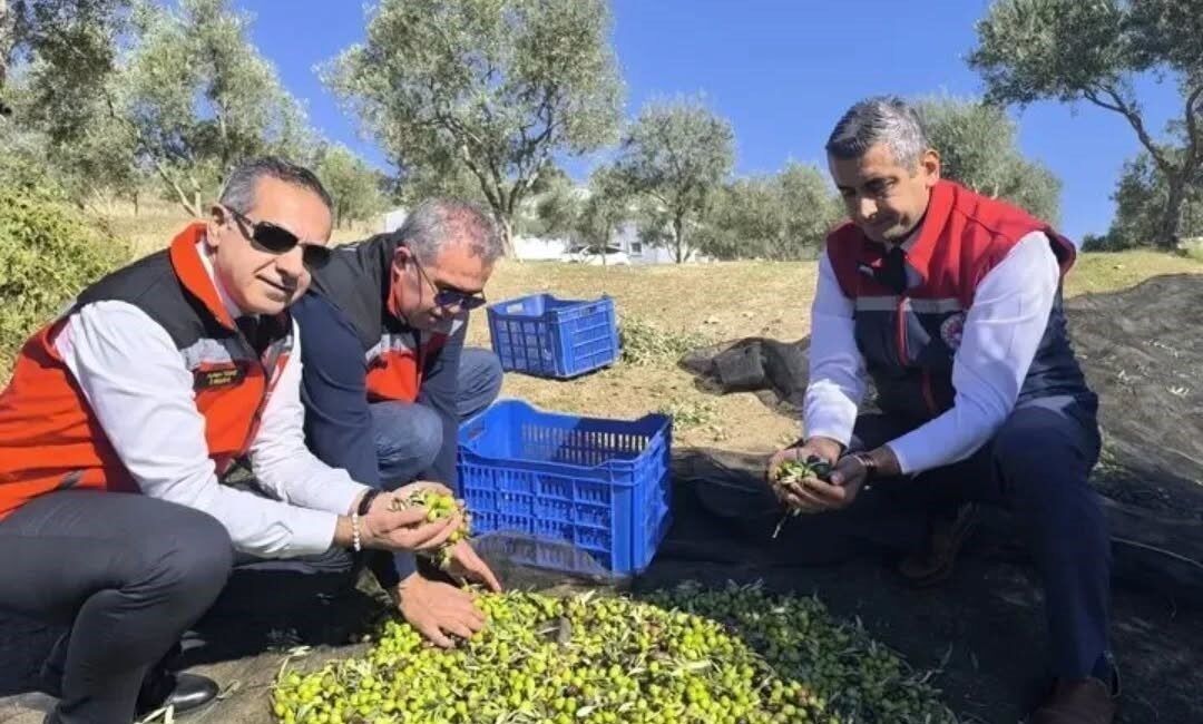 Aydın’da 2025 yılında gübre, bitki koruma ürünleri, organik tarım, ihracat