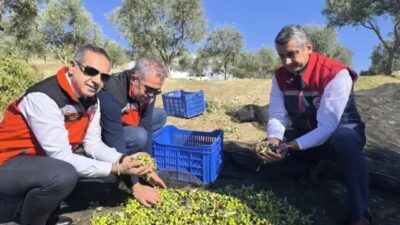 Aydın’da 2025 yılında gübre, bitki koruma ürünleri, organik tarım, ihracat