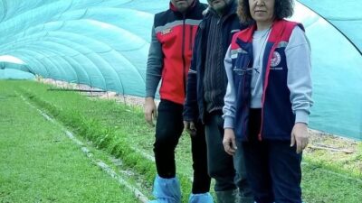 Aydın’ın Efeler ilçesi Kızılcaköy Mahallesi’nde salep orkidesi üretimi yapan Ender