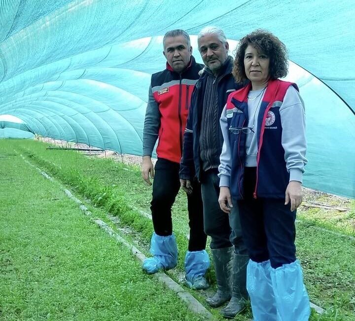 Aydın’ın Efeler ilçesi Kızılcaköy Mahallesi’nde salep orkidesi üretimi yapan Ender