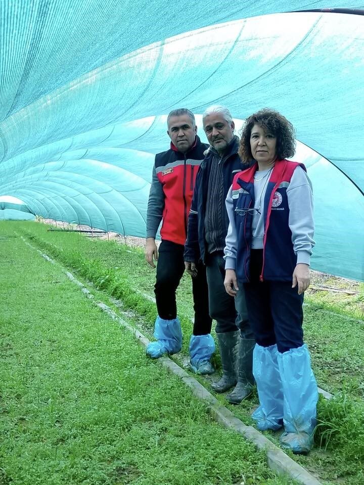 Aydın’ın Efeler ilçesi Kızılcaköy Mahallesi’nde salep orkidesi üretimi yapan Ender