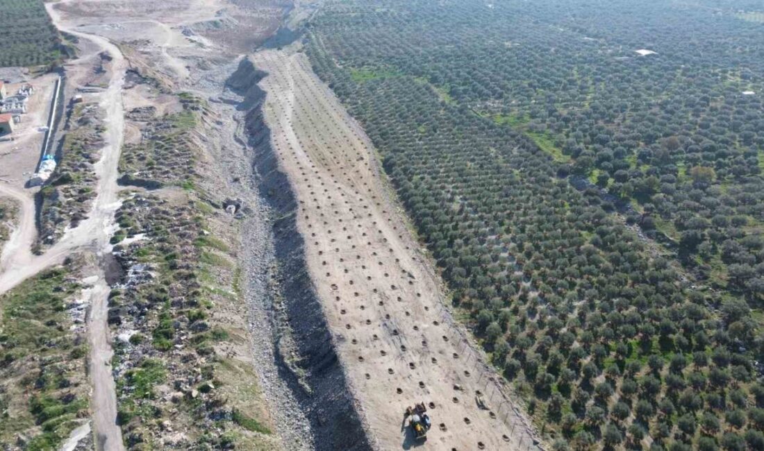 Buharkent Belediyesi tarafından incir üreticilerine destek olmak, çiftçilerin uygun fiyatlı,
