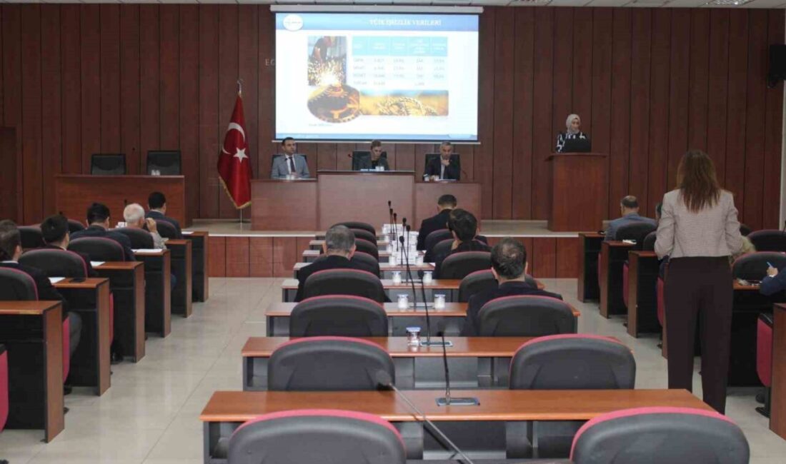 Aydın İl İstihdam Kurulu Mesleki Eğitim Kurulu Toplantısı, Aydın Valisi