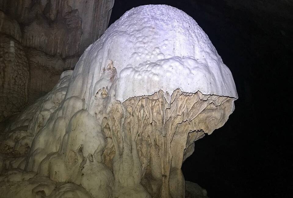 Aydın’ın Kuşadası ilçesinde bulunan içerisindeki bir dikitin aslan görünümünden adını