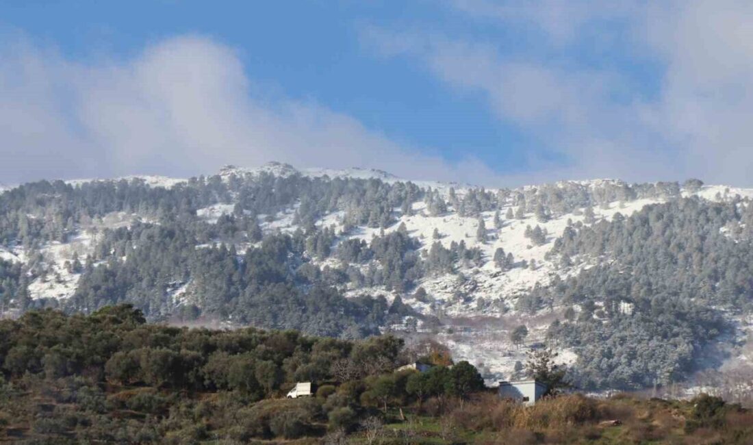 Aydın’da dün etkili olan sağanak yağışlı hava ile birlikte yüksek