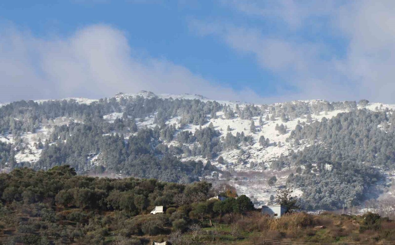 Aydın’da dün etkili olan sağanak yağışlı hava ile birlikte yüksek