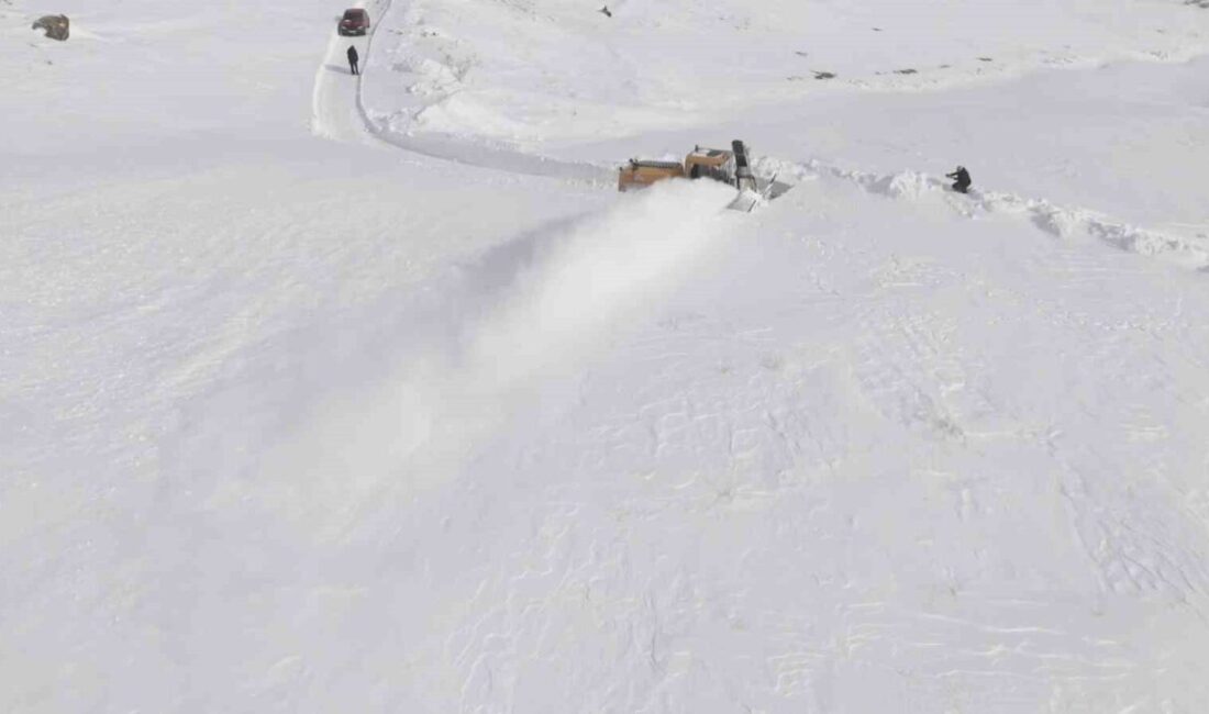Bitlis’in Adilcevaz ilçesine bağlı Aydınlar beldesinde etkili olan yoğun kar