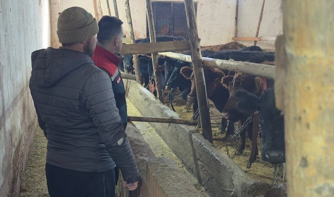 Kırsalda Bereket Hayvancılığa Destek Projesi kapsamında Bayburt’un Aydıntepe ilçesinde hak