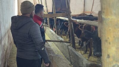 Kırsalda Bereket Hayvancılığa Destek Projesi kapsamında Bayburt’un Aydıntepe ilçesinde hak