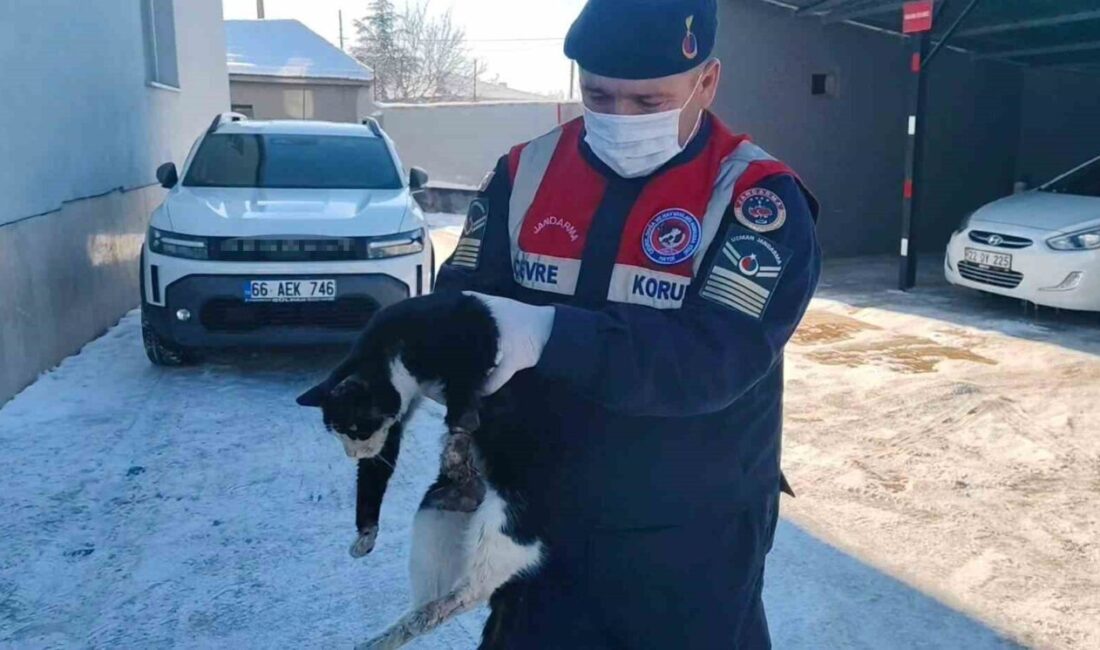 Yozgat’ta motor içine sıkışan bacağı kopmak üzere olan kedinin imdadına