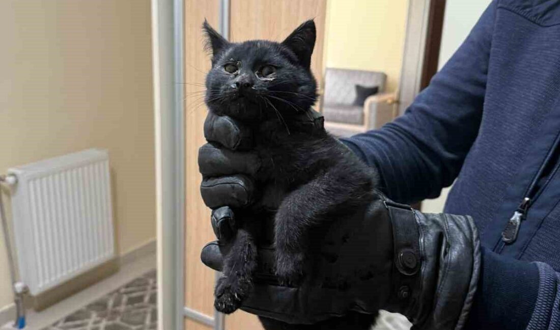 Konya’da 4 katlı bir apartmanın bacasına giren kedi itfaiye ekiplerinin