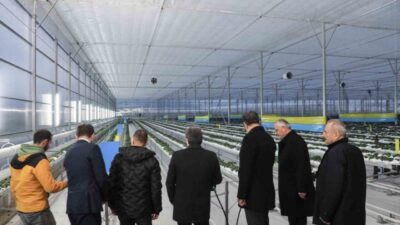 Samsun Valisi Orhan Tavlı, Bafra Sera Organize Tarım Bölgesi’nde(OTB) ileri