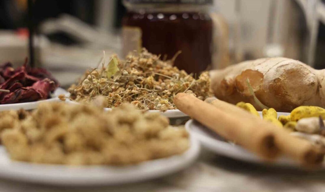 Kış aylarında soğuk hava ve enfeksiyon hastalıklarının bağışıklık sistemini zayıflattığını