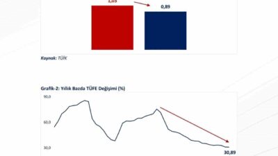 Yıllık enflasyonun Aralık ayında yüzde 30,89’a gerileyerek son 49 ayın