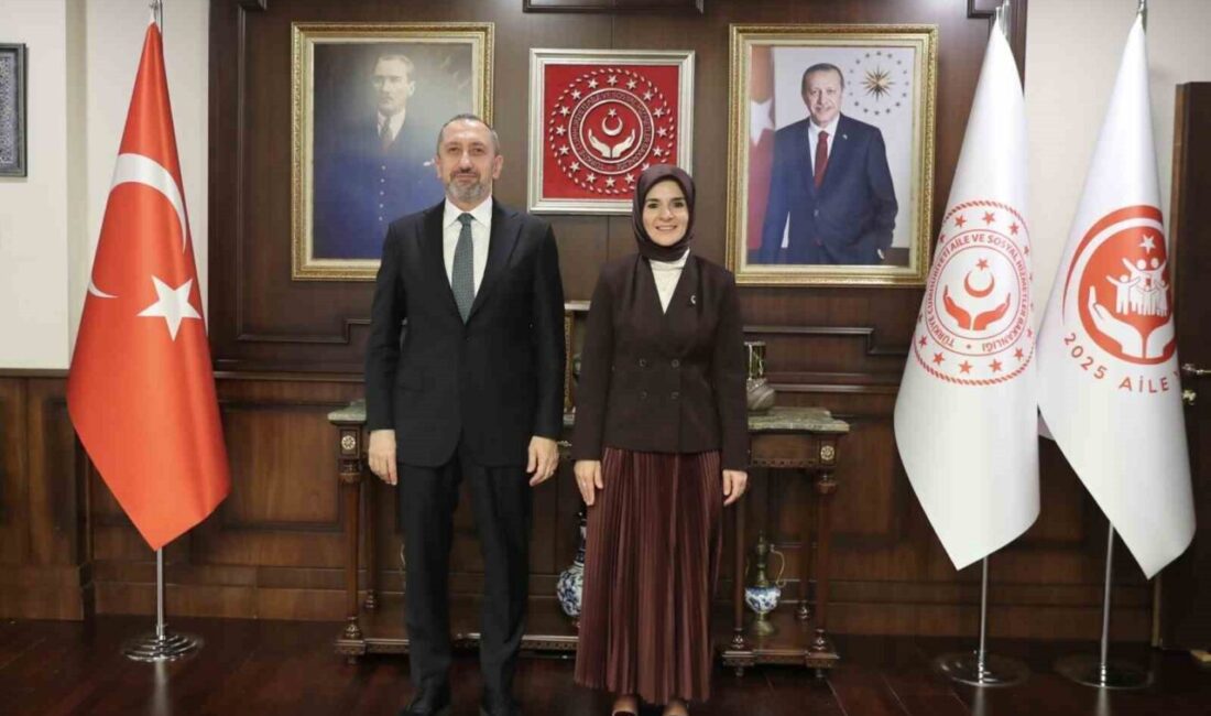 Aile ve Sosyal Hizmetler Bakanı Mahinur Özdemir Göktaş, Cumhurbaşkanlığı Siber