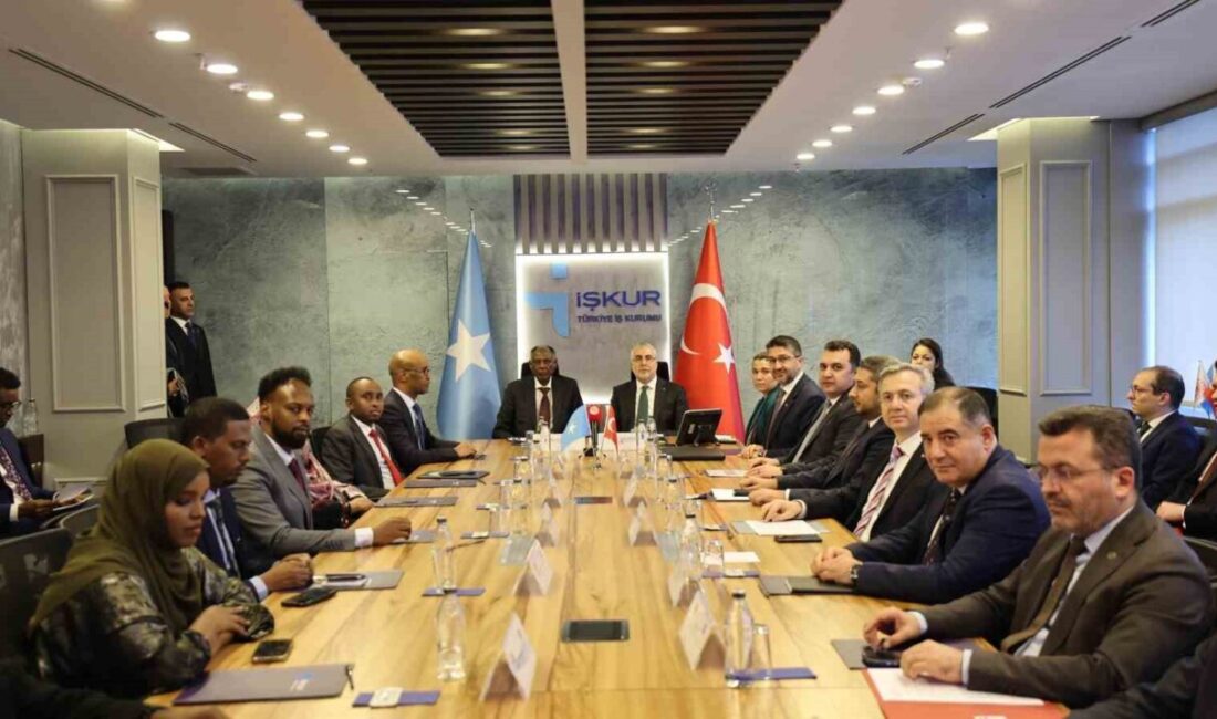 Çalışma ve Sosyal Güvenlik Bakanı Vedat Işıkhan, Somali Çalışma ve