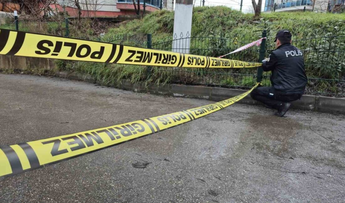 Bartın’da etkili olan yağmur ve kar yağışı sonrası ırmak taştı.