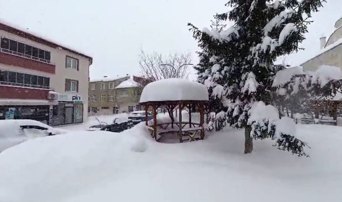 Tokat’ın Başçiftlik ilçesinde etkili olan yoğun kar yağışı hayatı olumsuz