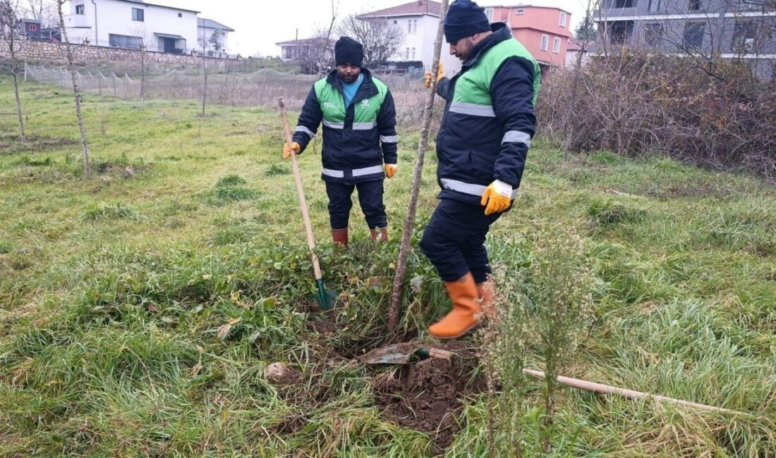 Başiskele Belediyesi ekipleri, ilçe genelindeki peyzaj ve ağaçlandırma çalışmalarını sürdürüyor.