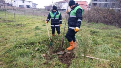 Başiskele Belediyesi ekipleri, ilçe genelindeki peyzaj ve ağaçlandırma çalışmalarını sürdürüyor.