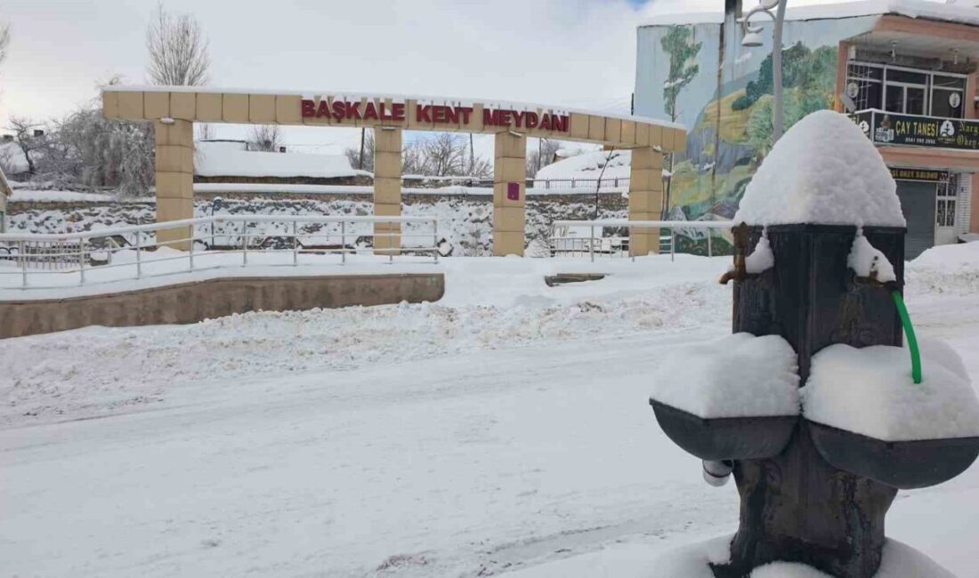 Van’ın Başkale ilçesinde etkili olan kar yağışı nedeniyle araçlar kara