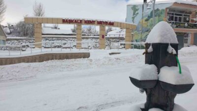 Van’ın Başkale ilçesinde etkili olan kar yağışı nedeniyle araçlar kara