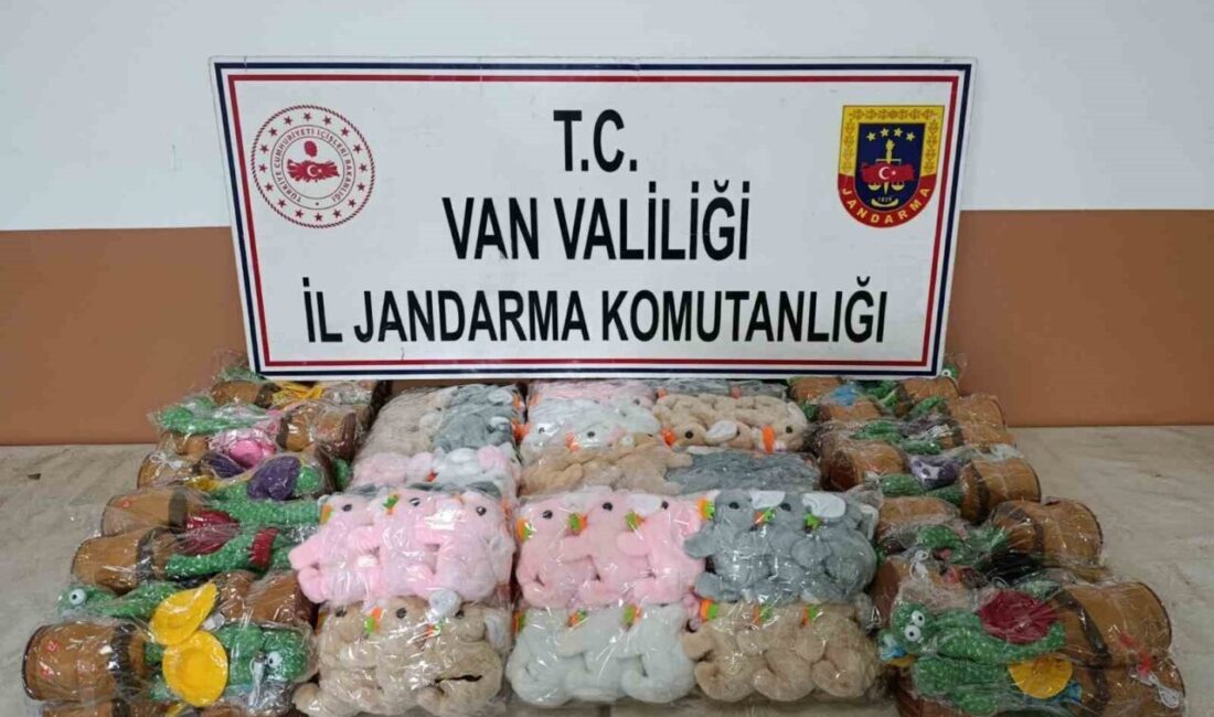 Van’ın Başkale ilçesinde jandarma ekiplerince yürütülen çalışmalar sonucunda gümrük kaçağı