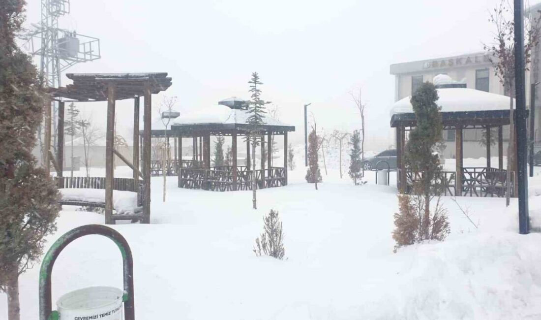 Van’ın Başkale ilçesinde etkili olan rüzgârlı ve soğuk hava, öğle