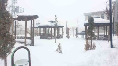 Van’ın Başkale ilçesinde etkili olan rüzgârlı ve soğuk hava, öğle