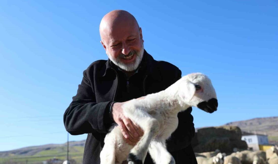 Kocasinan Belediyesi, kırsal mahallelerin köy kimliğini korumak ve kırsal kalkınmayı