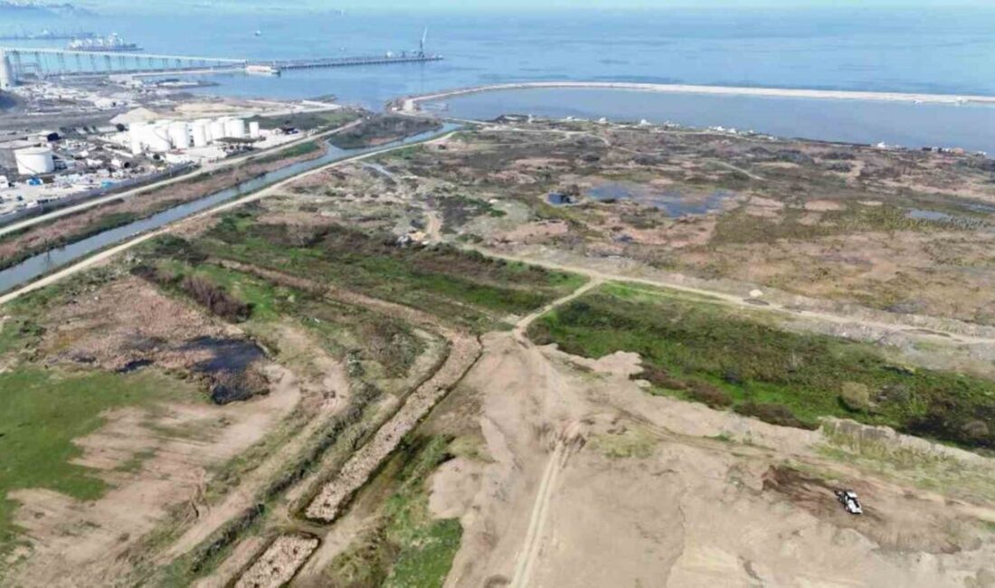 Samsun Büyükşehir Belediye Başkanı Halit Doğan, otomobil fabrikası kurulması planlanan