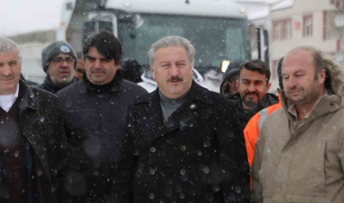 Kar yağışının başlamasıyla birlikte ilçede kar küreme, tuzlama ve temizleme