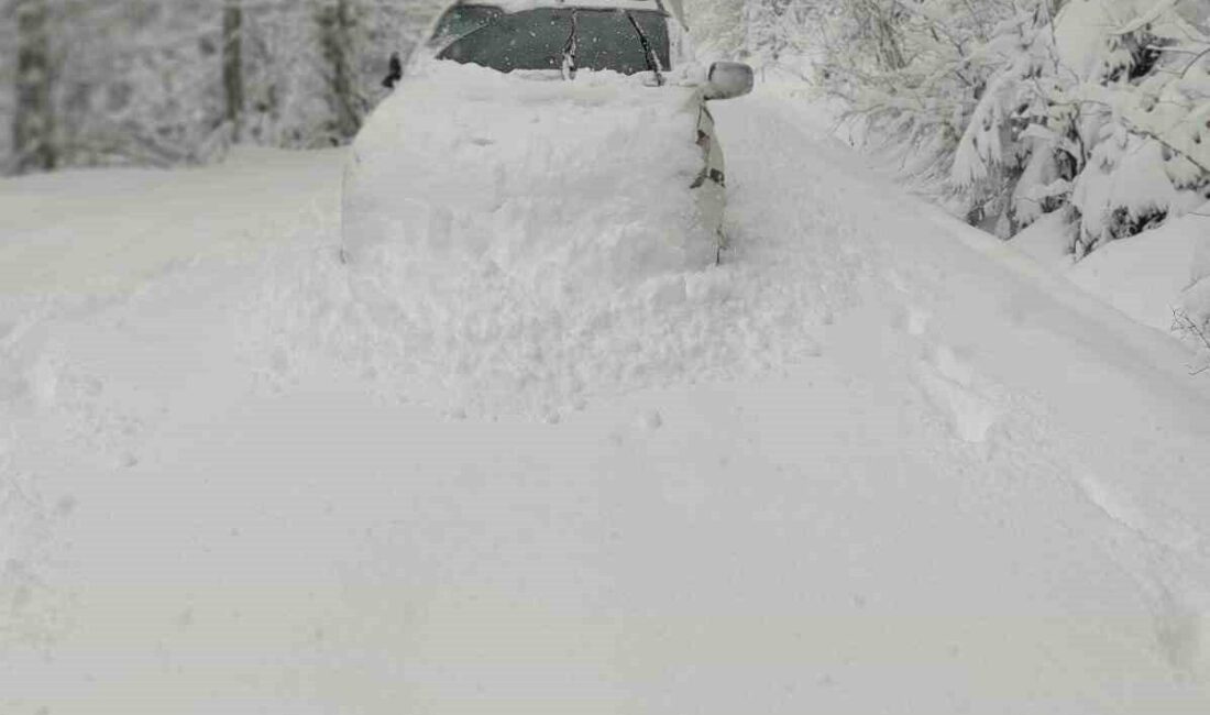 Başkent EDAŞ, Batı Karadeniz’de etkisini artıran yoğun kar yağışının yol