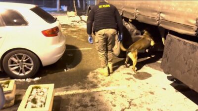Batman’da polis ekiplerince düzenlenen narkotik operasyonunda, dedektör köpek desteğiyle yapılan