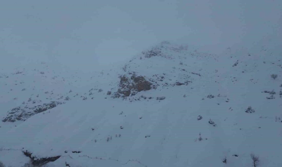 Batman’ın Sason ilçesine bağlı Yücebağ beldesinde bir ağılın üzerine çığ