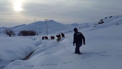 Batman’ın Kozluk ilçesine bağlı Geçitaltı köyünün Höv mezrası kırsalında, yoğun