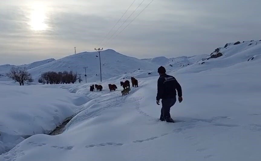 Batman’ın Kozluk ilçesine bağlı Geçitaltı köyünün Höv mezrası kırsalında, yoğun