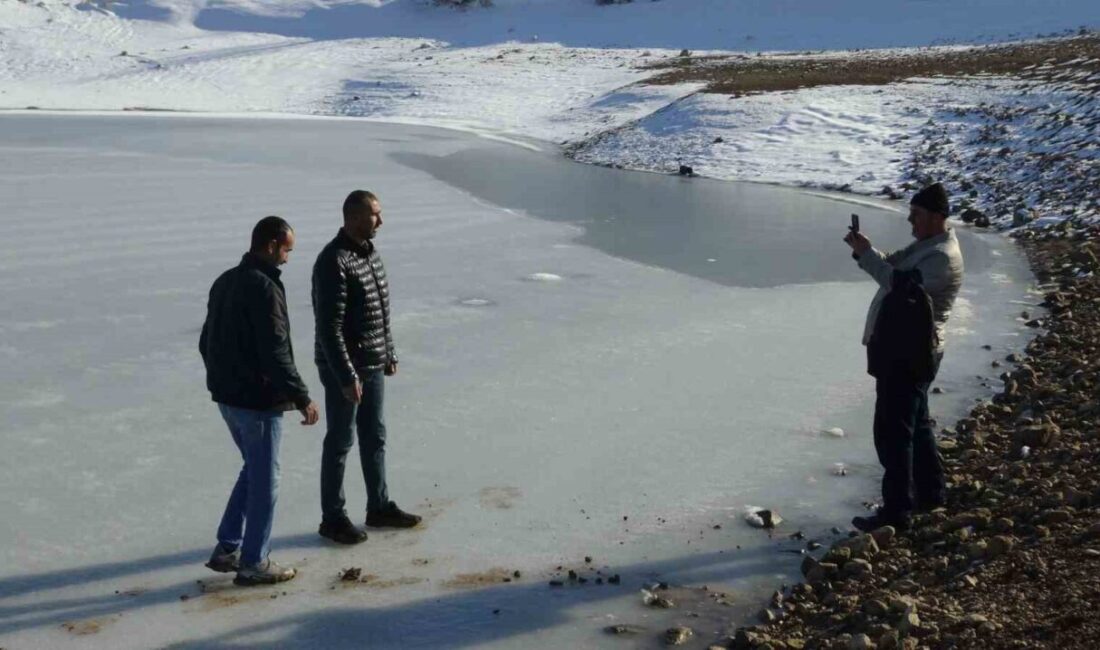 Batman’ın Gercüş ilçesindeki Kırkat Göleti’nin tamamen donmasıyla vatandaşlar fotoğraf çekti.