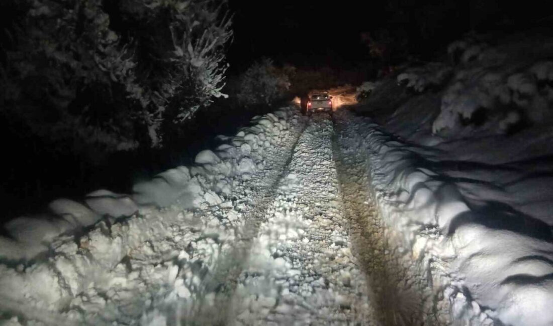 Batman’ın Kozluk ilçesinde yoğun kar yağışı nedeniyle yolu kapanan Armutlu