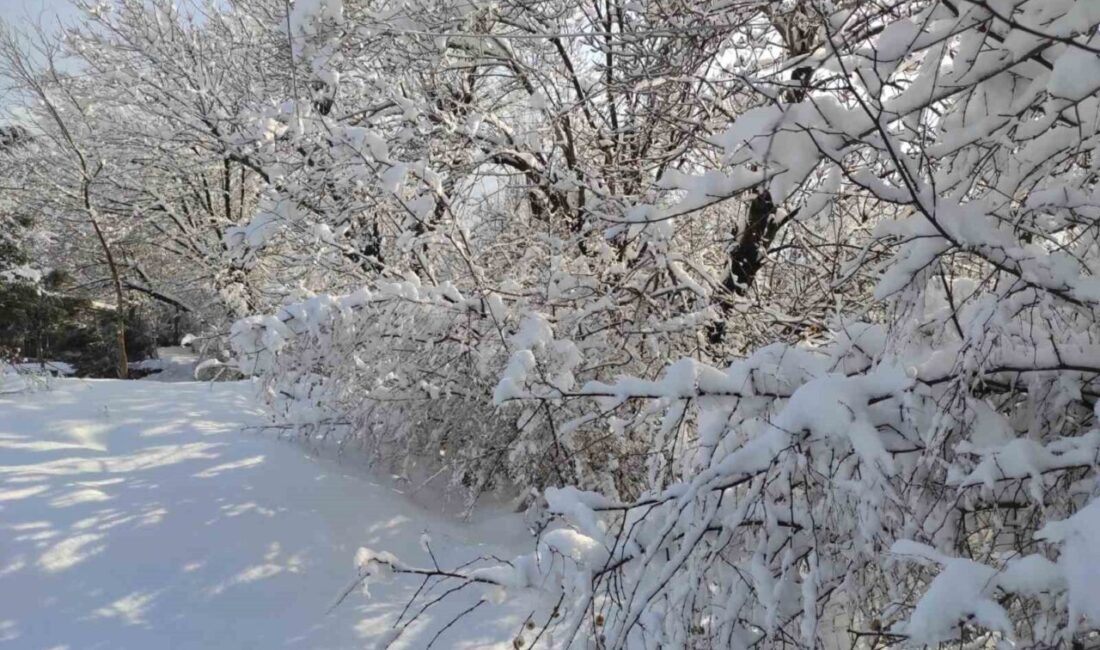 Batman’da üç gün boyunca aralıksız etkili olan kar yağışı kent