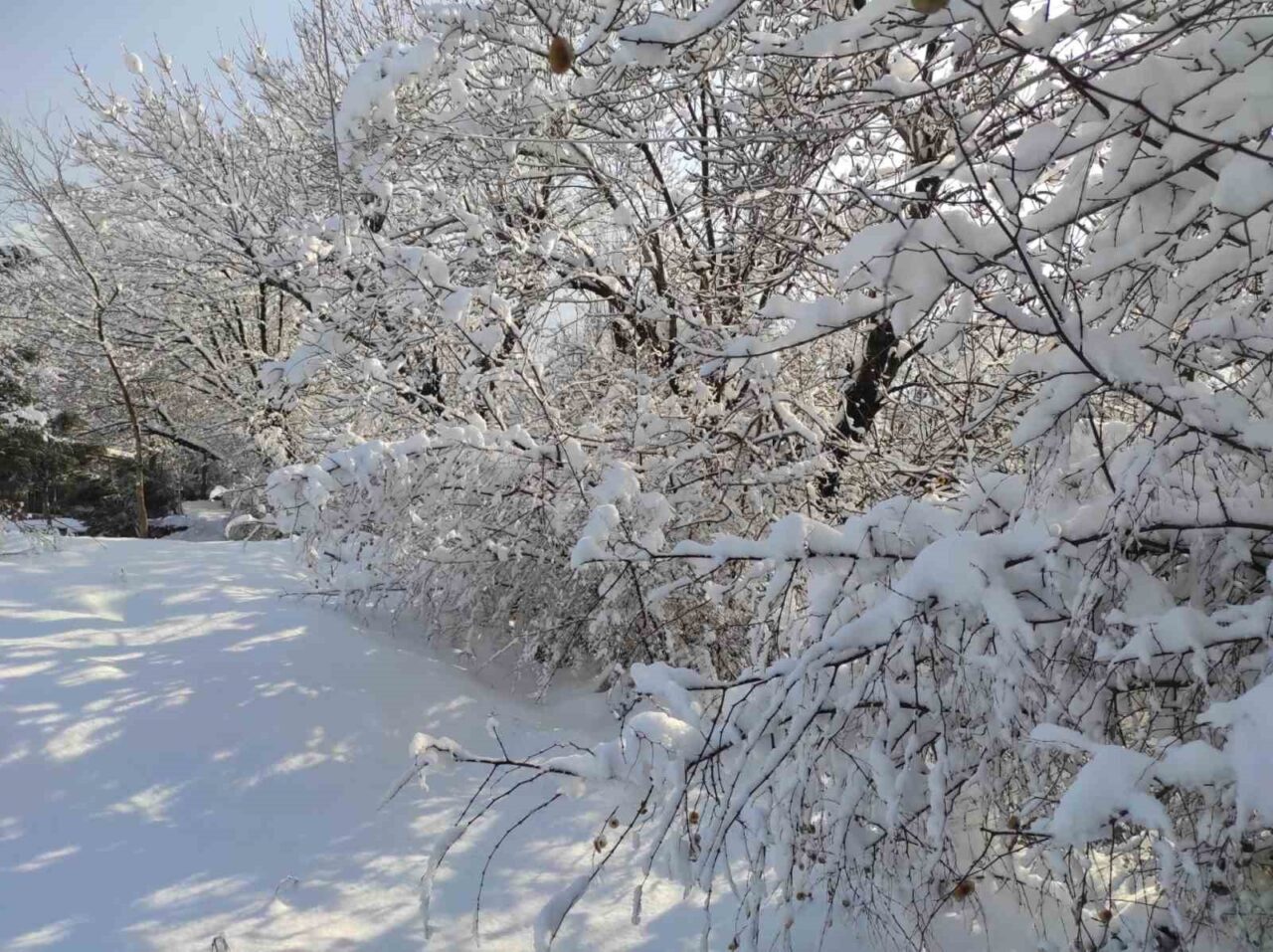 Batman’da üç gün boyunca aralıksız etkili olan kar yağışı kent