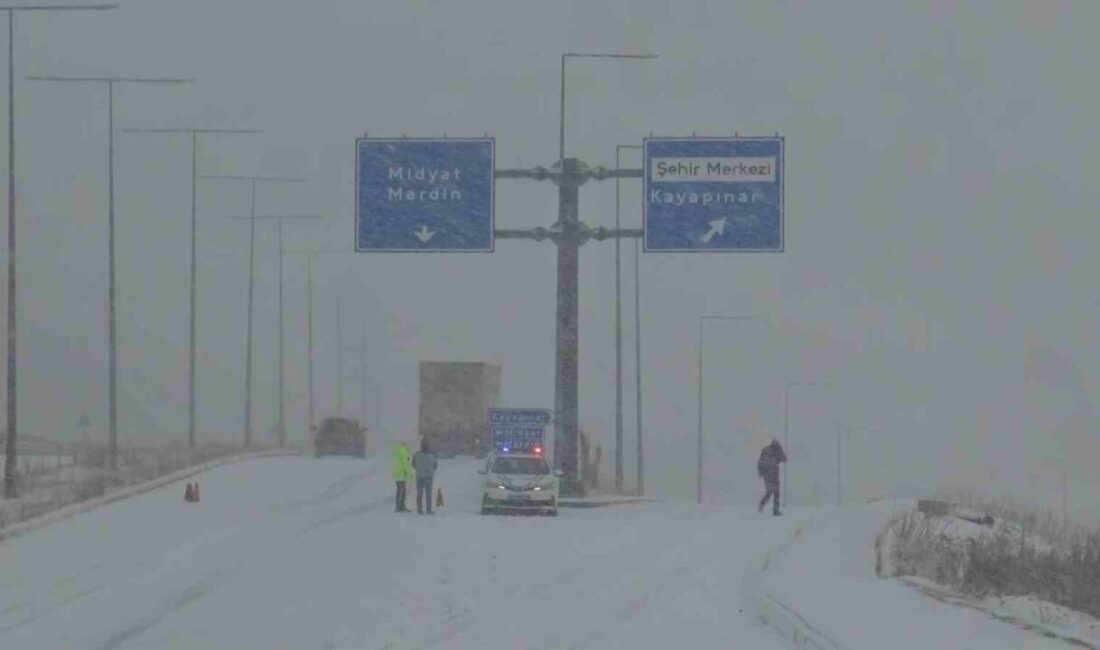 BATMAN (İHA) – Batman’ın Gercüş ilçesinde etkili olan yoğun kar