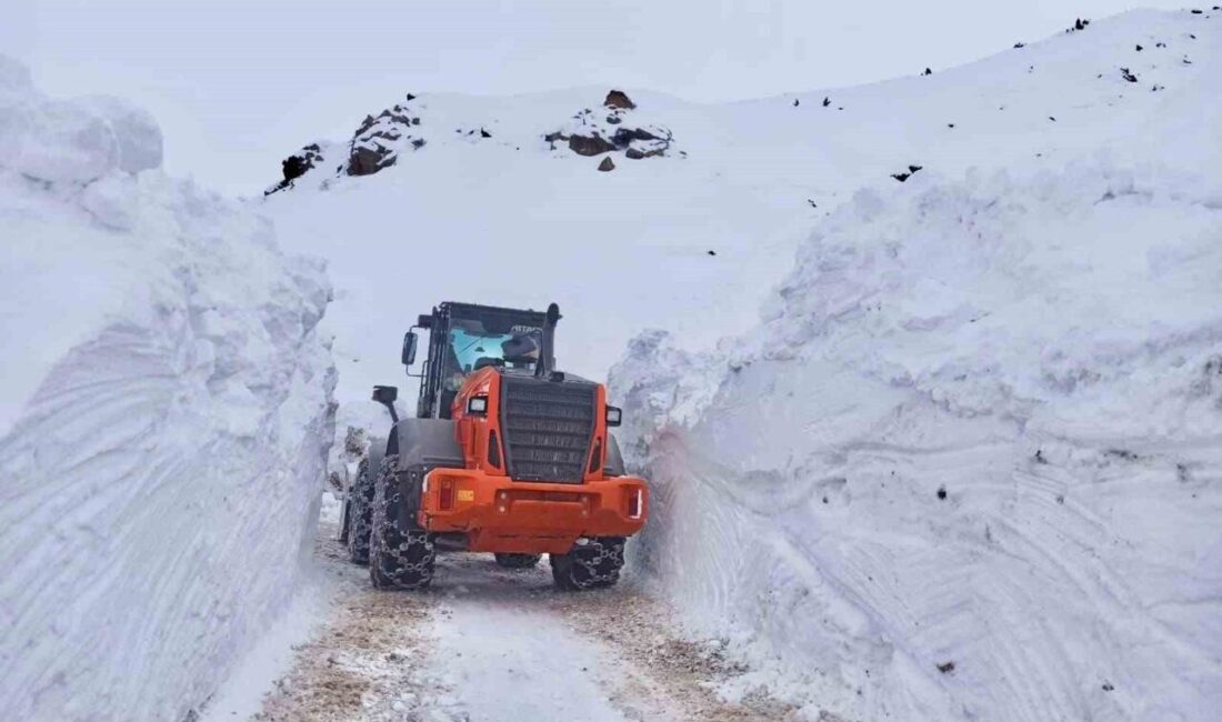 Batman’ın Sason ilçesinde etkili olan yoğun kar yağışı, köy ve