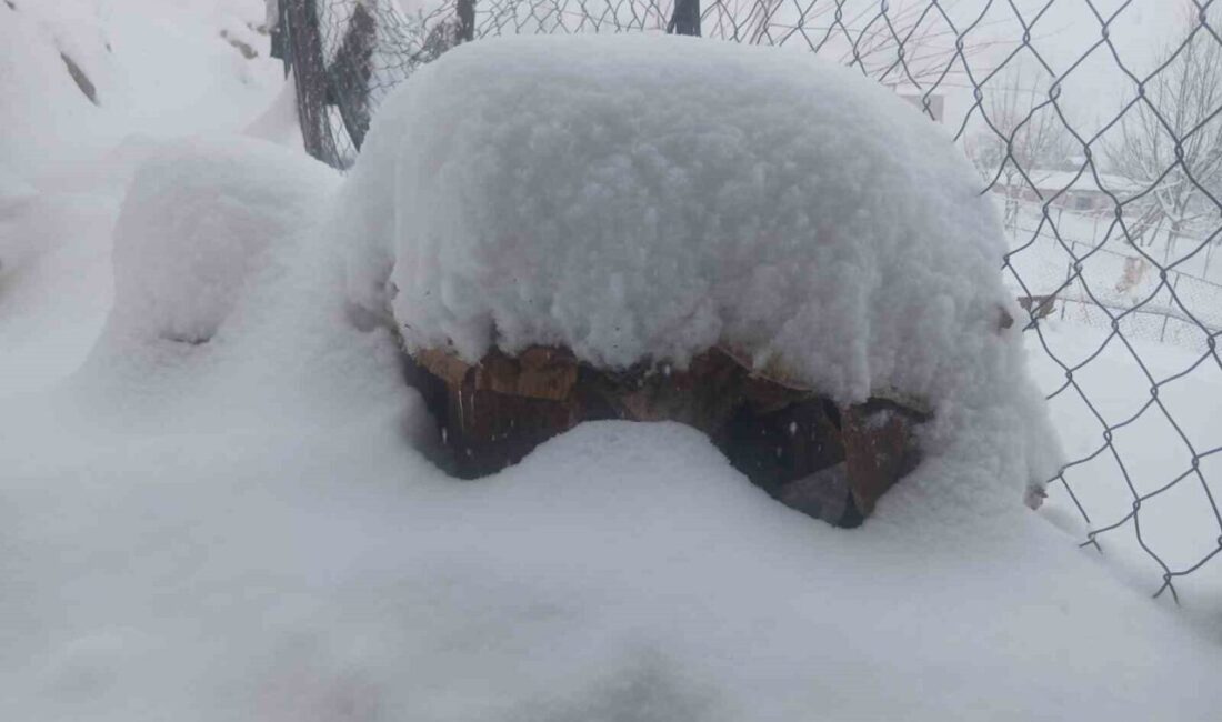 Batman’da Meteoroloji verilerine göre son 20 yılın en yoğun kar