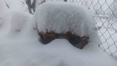 Batman’da Meteoroloji verilerine göre son 20 yılın en yoğun kar