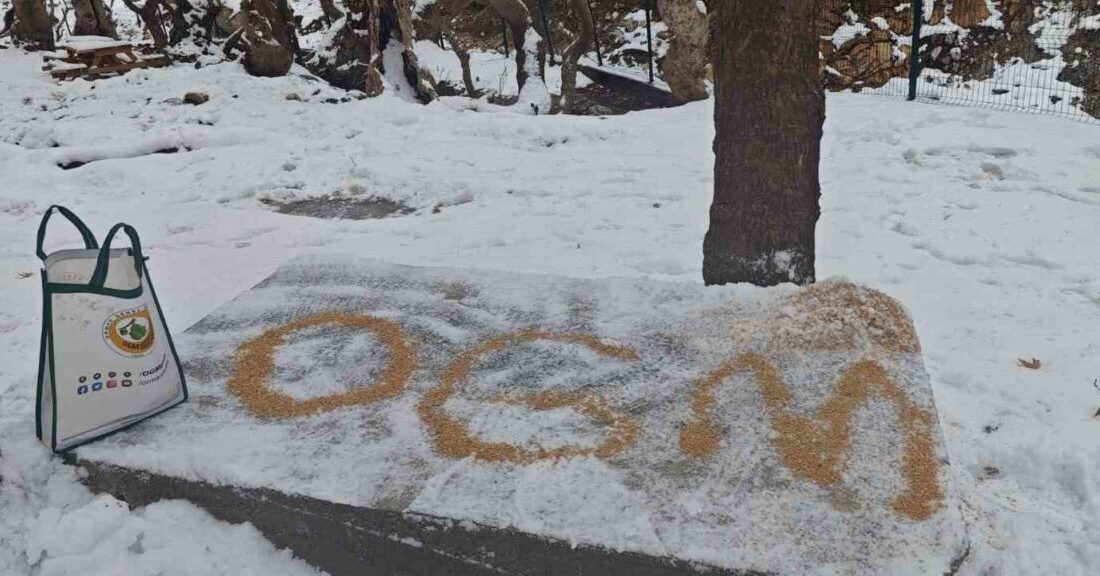 Batman Orman İşletme Müdürlüğüne bağlı orman muhafaza memurları, yoğun kar